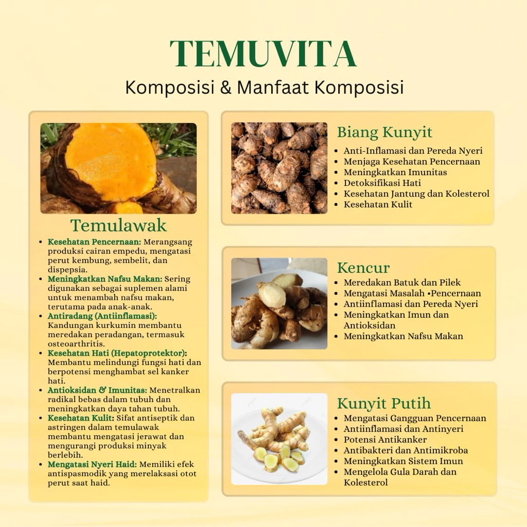 Herbal Lambung Tanpa Gula Temuvita 100 gram - Gambar 3